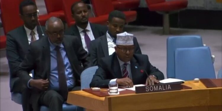 Somali International Minister Addresses UN Safety Council, Condemns Ethiopian Actions – Somali Nationwide Information Company