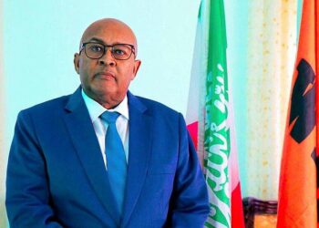 The Incoming Somaliland Administration Faces Political, Safety and Financial Hurdles – Puntland Submit