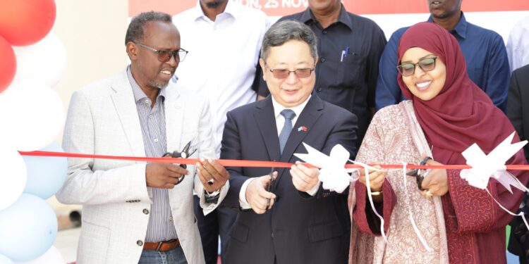 State Ministry of Training, Chinese language Ambassador launch ‘China-Somalia Friendship Scholarship’ – Somali Nationwide Information Company