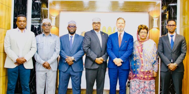 Somalia, Sweden focus on strengthening bilateral relations – Somali Nationwide Information Company
