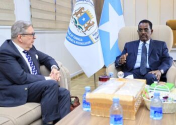 Somalia, Finland Increase Safety Ties, Focus on Anti-Al-Shabab Technique