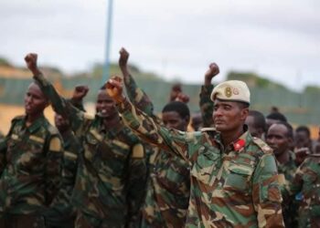 Jubaland Ministry Accuses FGS of Unlawful Troop Deployment in Decrease Jubba