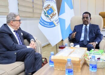 Somalia’s Minister of Inside Meets with Finnish Delegation to Talk about Key Points – Somali Nationwide Information Company
