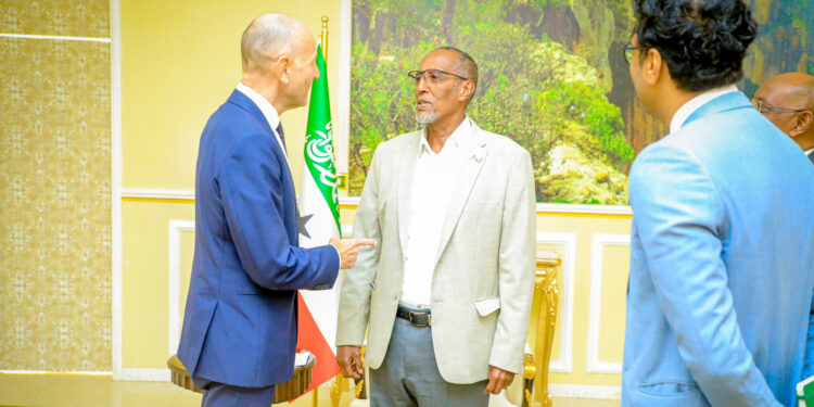 Worldwide companions urge Somaliland presidential candidates to respect election outcomes 