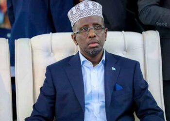 Somalia’s opposition congratulates Jubaland chief on re-election 