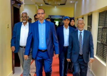 Somaliland president welcomes high-level Ethiopian delegation 