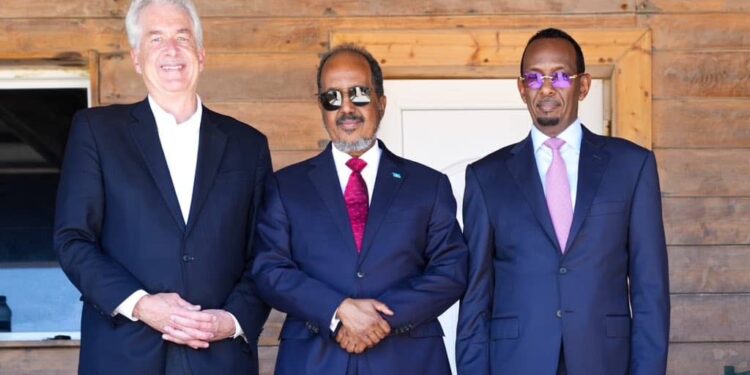 President Hassan Sheikh Mohamud Meets CIA Director William J. Burns in Mogadishu – Somali Nationwide Information Company