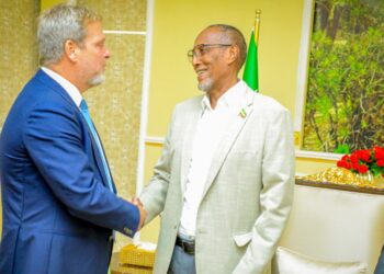 Somalia summons Danish ambassador over feedback on Somaliland 