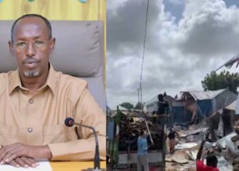 The Somali Authorities Enforces Pre-1991 Land Legislation to Reclaim Properties – Puntland Put up