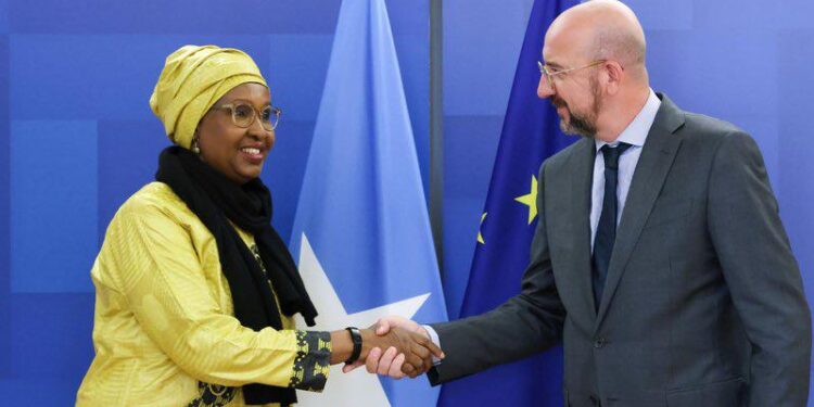 Somali Ambassador Presents Credentials to EU Council President