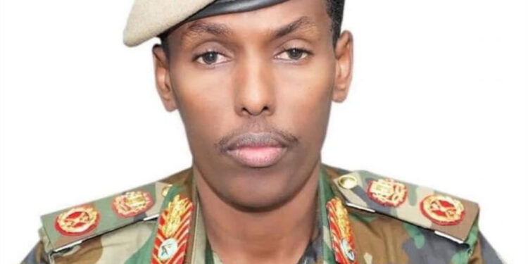 Somali Authorities Appoints Common Odawa Yusuf as New Chief of Nationwide Armed Forces – Somali Nationwide Information Company