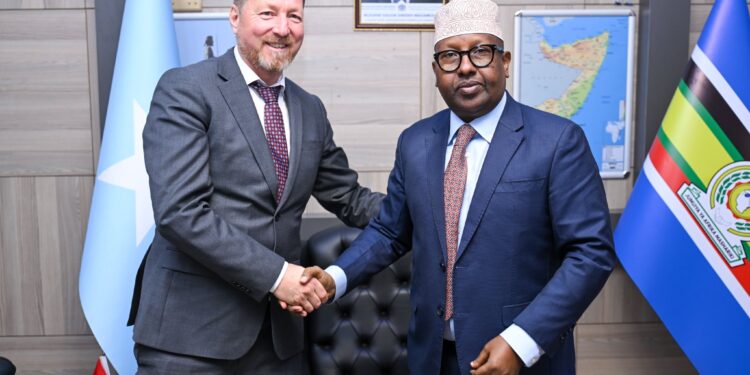 Somalia’s Overseas Minister Ahmed Moalim Fiqi Engages Norwegian Delegation to Deepen Bilateral Cooperation – Somali Nationwide Information Company