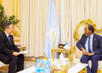 Somali President Meets Chinese language Ambassador to Strengthen Strategic Partnership – Somali Nationwide Information Company