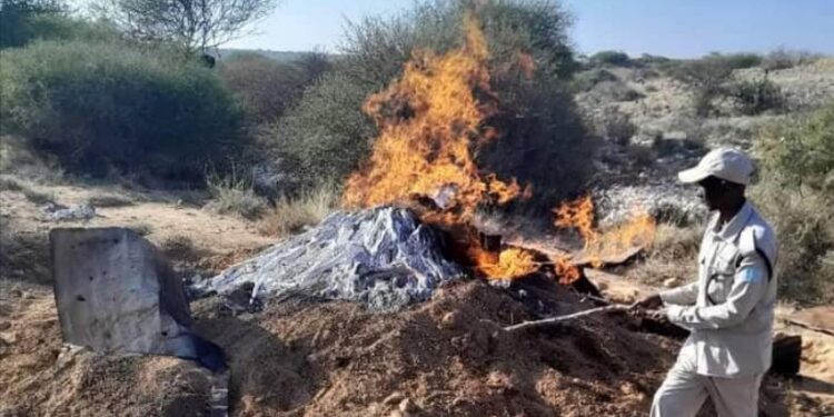 Booliska Puntland oo hawlgal ku burburiyay hogihii dhuxulaysatada ee degmada SHAXDA – Puntland Publish