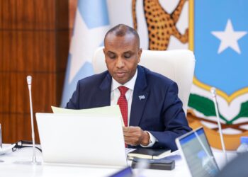 Somali PM Challenges Legitimacy of Jubaland Elections