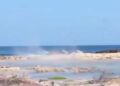Jubaland Battle “Affecting” Kenya’s Tourism Trade – Puntland Publish