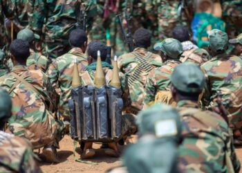 Somalia’s authorities plans to open new entrance towards Jubaland in Gedo area 