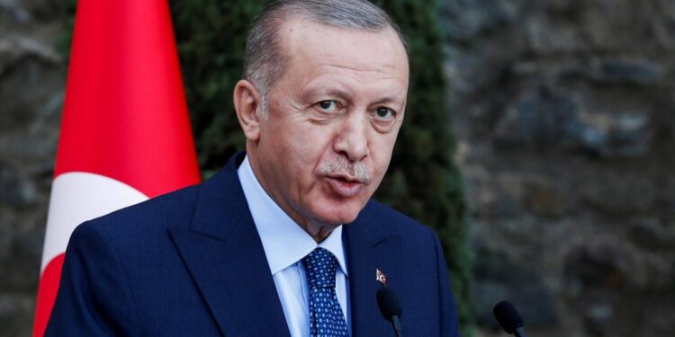 Erdogan to go to Somalia and Ethiopia early 2025 
