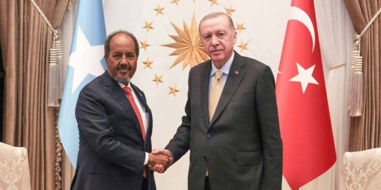 Turkish president hosts separate conferences with Ethiopia and Somalia leaders 