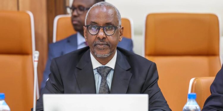 Former Somali petroleum minister blames dismissal on rift with president 