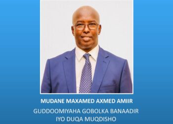 President Hassan Appoints Mohamed Ahmed Amiir As The New Mogadishu Mayor – Somali Nationwide Information Company