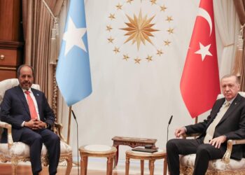 Somali President Meets Turkish Chief Forward of Ethiopian PM Talks