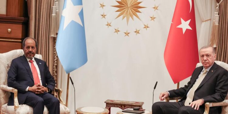 Somali President Meets Turkish Chief Forward of Ethiopian PM Talks