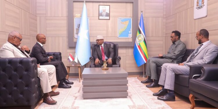 International Minister Receives Sudan’s Performing Ambassador to Somalia – Somali Nationwide Information Company