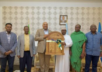 Fostering Stronger Ties Between Somalia and Tanzania – Somali Nationwide Information Company