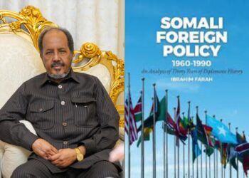 The 2024 Political Panorama in Somalia:  A Yr of Turmoil and Constitutional Woes – Puntland Put up