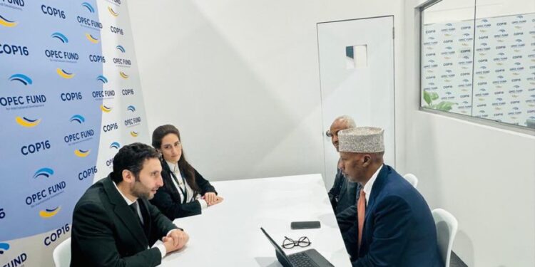Power Minister meets OPEC Fund for Worldwide Improvement officers in Riyadh – Somali Nationwide Information Company