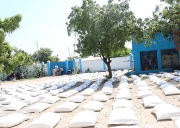 SoDMA Distributes Important Aid Provides to Over 700 Households in Baardheere – Somali Nationwide Information Company