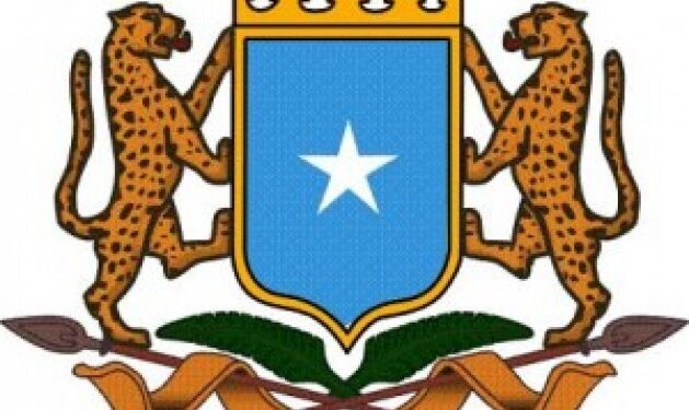 Somali Authorities repatriates 161 Somali youth stranded in Libya – Somali Nationwide Information Company