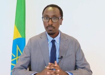 Ethiopia Denies Somalia’s Allegations of Assault in Doolow, Requires Peaceable Relations