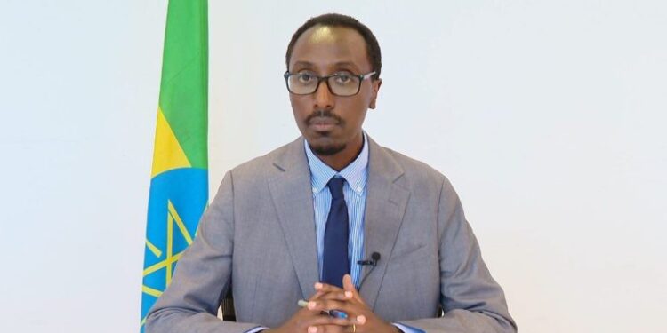 Ethiopia Denies Somalia’s Allegations of Assault in Doolow, Requires Peaceable Relations
