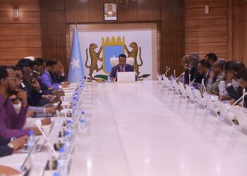 Second Deputy PM chairs Social Improvement Pillar assembly – Somali Nationwide Information Company