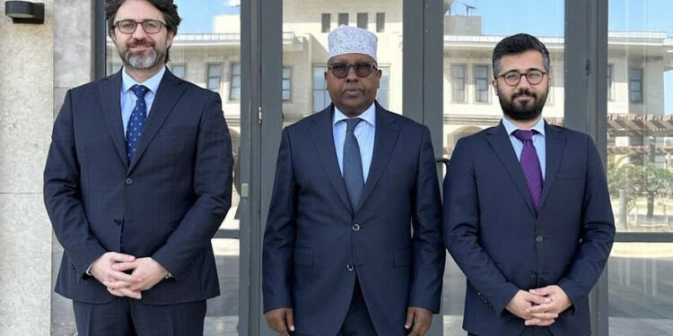 Tensions between Somalia FM and deputy result in separate conferences with Turkish ambassador 