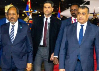 Somalia’s president arrives in Egypt for official state go to 