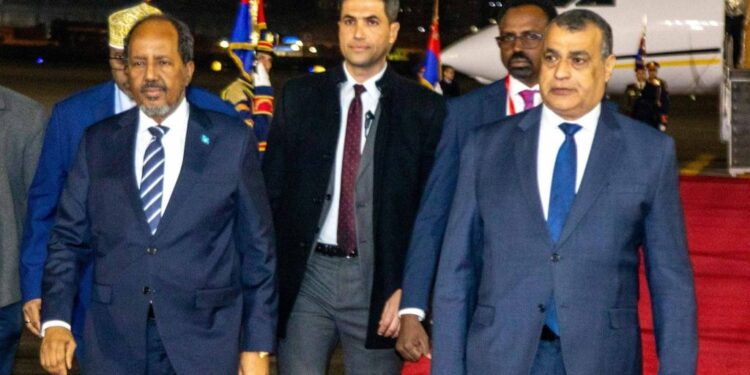 Somalia’s president arrives in Egypt for official state go to 