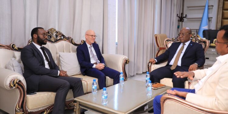 UN envoy meets with Somali Minister of Data in Mogadishu 