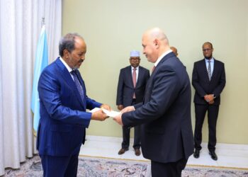 Somali President Receives Credentials from New Ambassadors