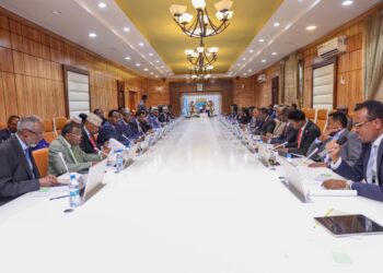 Somalia’s Cupboard extends time period for Nationwide Incapacity Company Board – Somali Nationwide Information Company