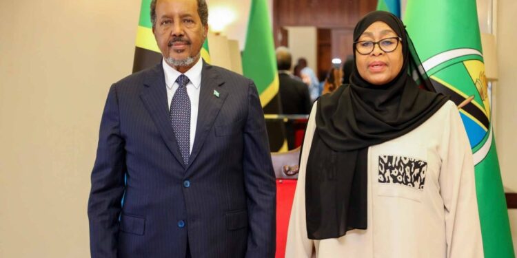 Somalia’s chief meets Tanzanian president 