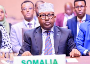Somali International Minister Attends Key Ministerial Convention in Uganda – Somali Nationwide Information Company