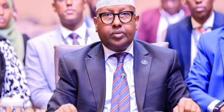 Somali International Minister Attends Key Ministerial Convention in Uganda – Somali Nationwide Information Company