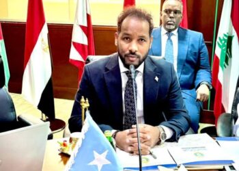 Somalia’s Deputy Planning Minister Joins Key Arab Planning Institute Assembly in Kuwait