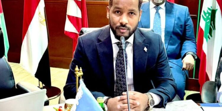 Somalia’s Deputy Planning Minister Joins Key Arab Planning Institute Assembly in Kuwait