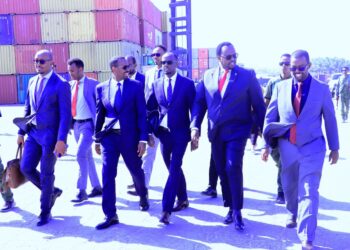 Deputy Prime Minister visits Mogadishu Port to evaluate growth efforts – Somali Nationwide Information Company
