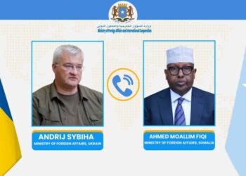 Somalia’s International Minister Fiqi Engages in Diplomatic Talks with Ukrainian Counterpart – Somali Nationwide Information Company
