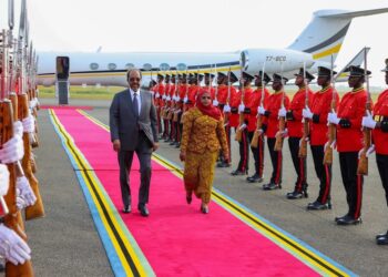 President Hassan Sheikh Attends Africa Power Summit in Tanzania – Somali Nationwide Information Company